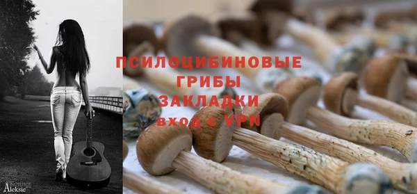 apvp Алзамай