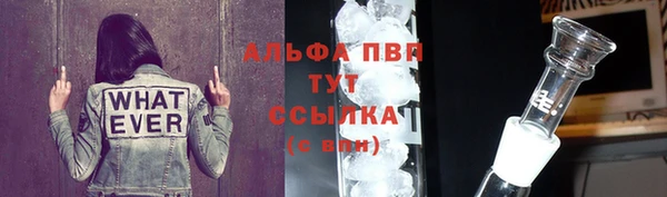 apvp Алзамай