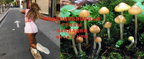 марки lsd Алексеевка