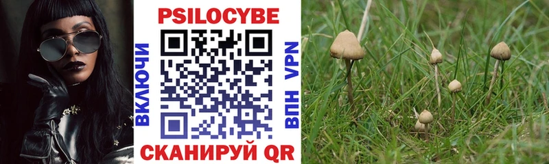 Псилоцибиновые грибы Psilocybine cubensis darknet Telegram Сортавала купить