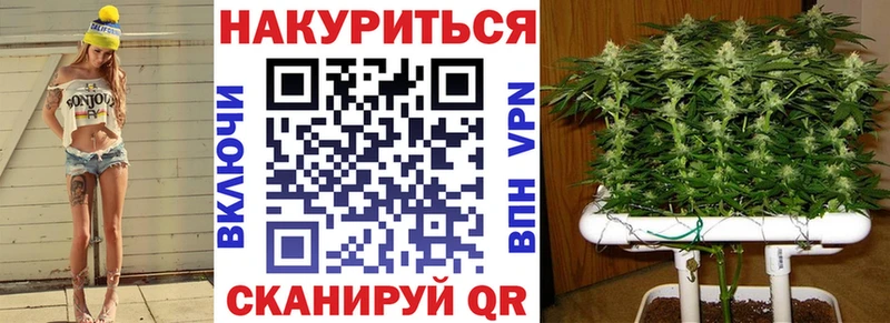 Бошки марихуана THC 21% Сортавала
